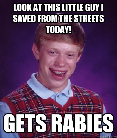 Look at this little guy I saved from the streets today! Gets rabies  Bad Luck Brian