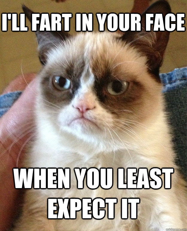 I'll fart in your face when you least expect it  Grumpy Cat