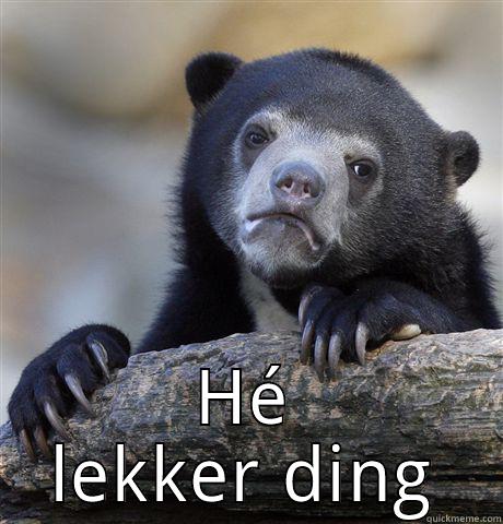  HÉ LEKKER DING Confession Bear