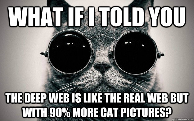 What if i told you The deep web is like the real web but with 90% more cat pictures?  Morpheus Cat Facts