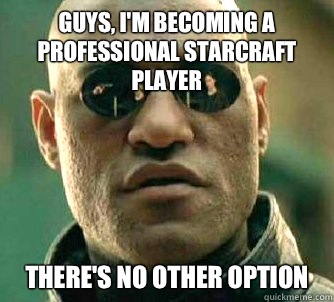 Guys, I'm becoming a professional Starcraft player  There's no other option    Matrix Morpheus