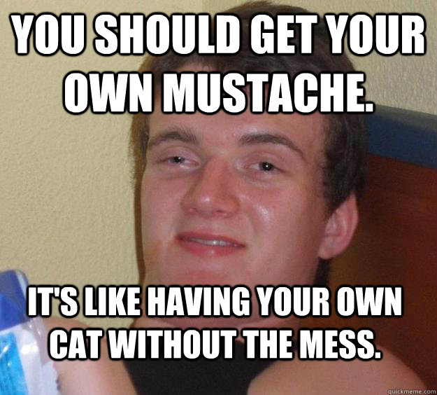 You should get your own mustache. It's like having your own cat without the mess.  10 Guy