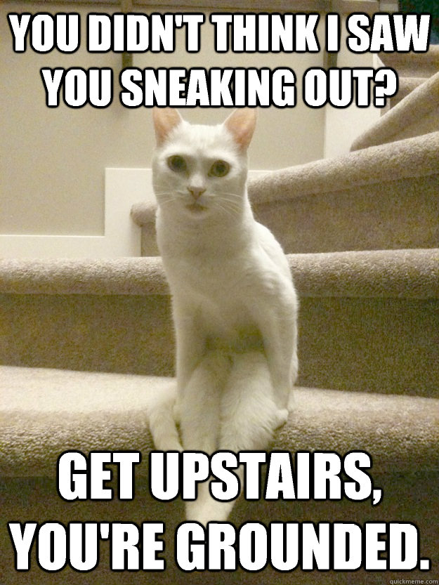 You didn't think I saw you sneaking out? Get upstairs, You're grounded.  Serious Cat