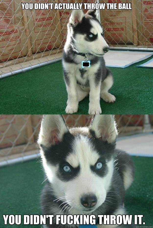 You didn't actually throw the ball You didn't fucking throw it.  Insanity puppy