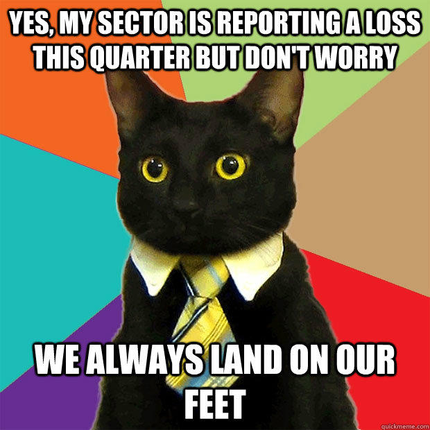 Yes, my sector is reporting a loss this quarter but don't worry we always land on our feet  Business Cat