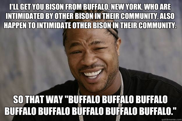 i'LL GET YOU Bison from Buffalo, New York, who are intimidated by other bison in their community, also happen to intimidate other bison in their community. SO tHAT WAY 