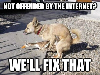 Not offended by the internet? we'll fix that  Reddit