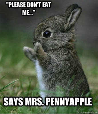says Mrs. Pennyapple 