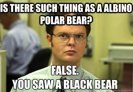 Is there such thing as a albino Polar bear? False.
You saw a Black bear  Schrute