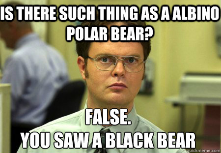 Is there such thing as a albino Polar bear? False.
You saw a Black bear - Is there such thing as a albino Polar bear? False.
You saw a Black bear  Schrute