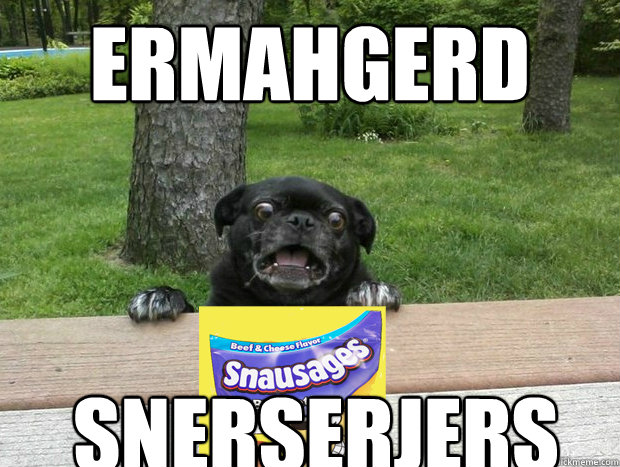 ERmahgerd snerserjers  Berks Dog