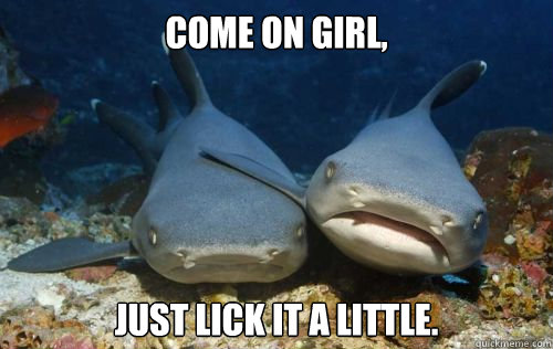 come on girl, just lick it a little.  Compassionate Shark Friend