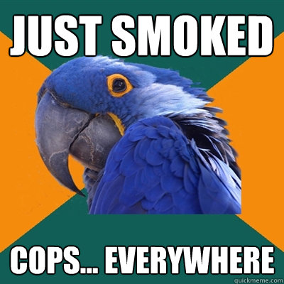 just smoked cops... everywhere  Paranoid Parrot