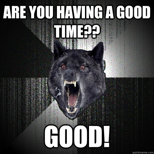 ARE YOU HAVING A GOOD TIME?? GOOD!  Insanity Wolf