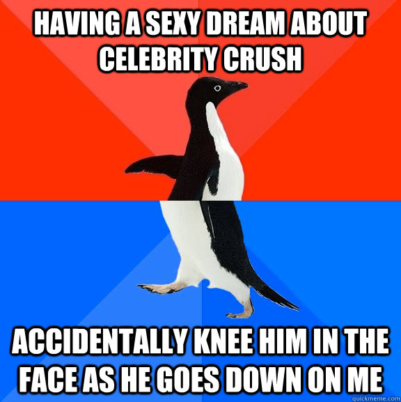 Having a sexy dream about celebrity crush accidentally knee him in the face as he goes down on me  Socially Awesome Awkward Penguin