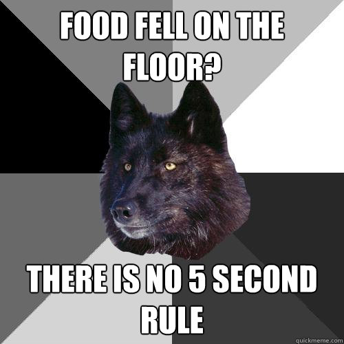 Food fell on the floor? There is no 5 second rule  Sanity Wolf