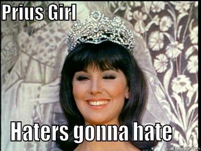 PRIUS GIRL                                           HATERS GONNA HATE     Misc