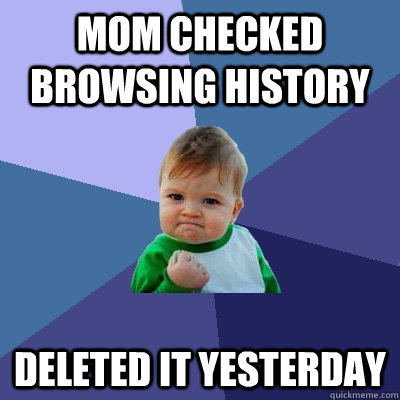 Mom checked browsing history deleted it yesterday  Success Kid