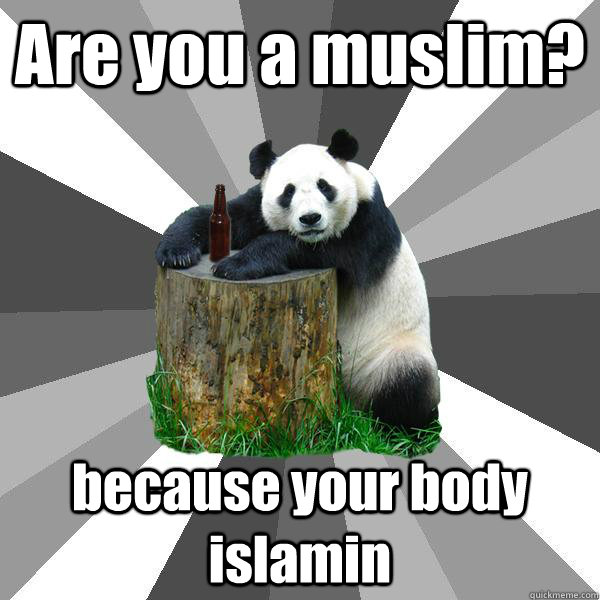 Are you a muslim? because your body islamin  Pickup-Line Panda