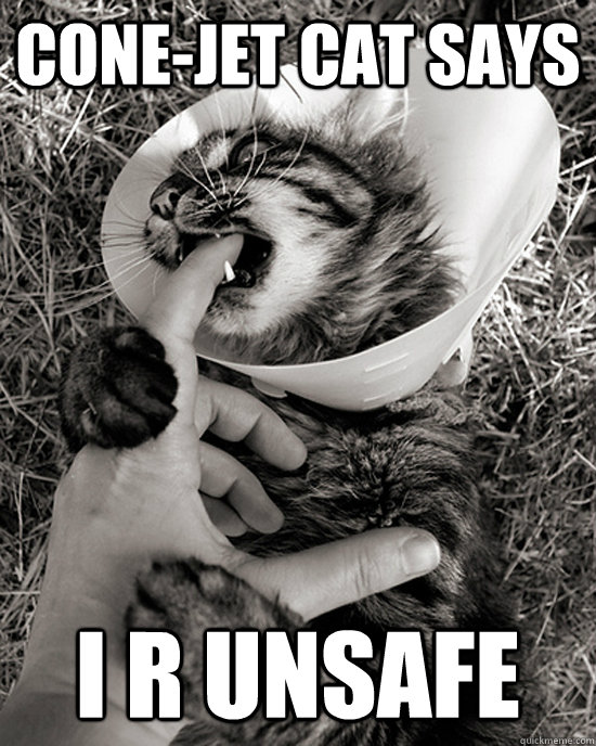 Cone-jet cat says I R Unsafe - Cone-jet cat says I R Unsafe  Cone-jet cat