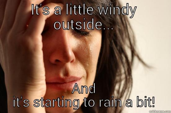 IT'S A LITTLE WINDY OUTSIDE... AND IT'S STARTING TO RAIN A BIT! First World Problems