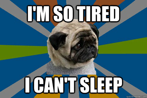 I'm so tired I can't sleep  Clinically Depressed Pug