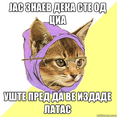 јас знаев дека сте од циа уште пред да ве изд  Hipster Kitty
