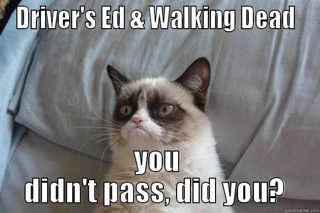 TWC: Pity the Fool - DRIVER'S ED & WALKING DEAD  YOU DIDN'T PASS, DID YOU?  Grumpy Cat