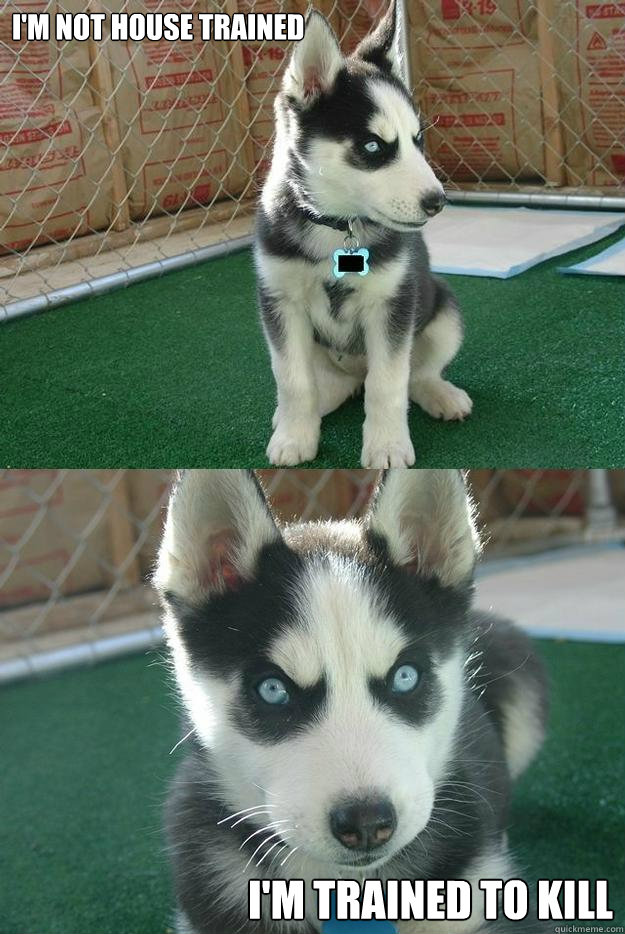 I'm not house trained I'm trained to kill Caption 3 goes here  Insanity puppy