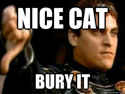 Nice cat Bury it  Downvoting Roman