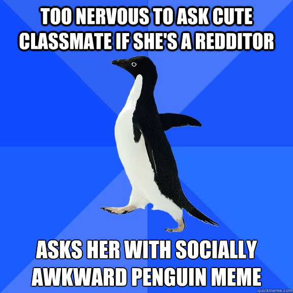Too nervous to ask cute classmate if she's a redditor asks her with socially awkward penguin meme  Socially Awkward Penguin