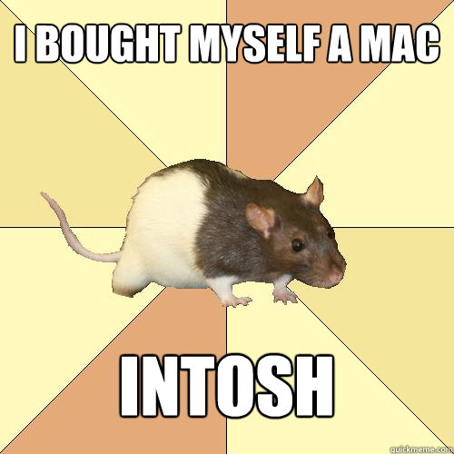 i bought myself a mac intosh  Redundant Rat
