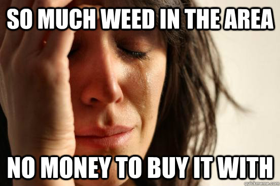 So much weed in the area No money to buy it with  First World Problems