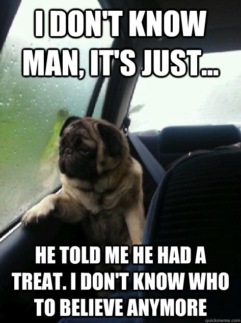 I don't know man, it's just... He told me he had a treat. I don't know who to believe anymore  Introspective Pug