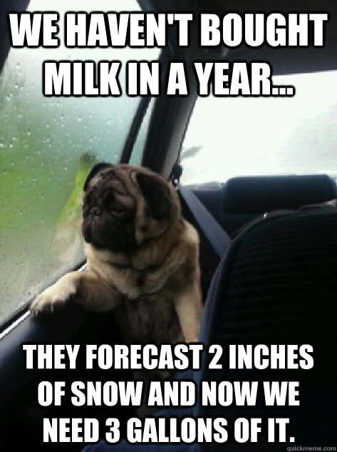 We haven't bought milk in a year... they forecast 2 inches of snow and now we need 3 gallons of it.  Introspective Pug
