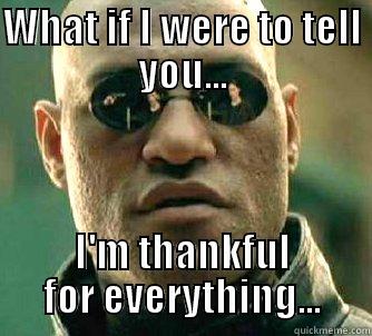 WHAT IF I WERE TO TELL YOU... I'M THANKFUL FOR EVERYTHING... Matrix Morpheus