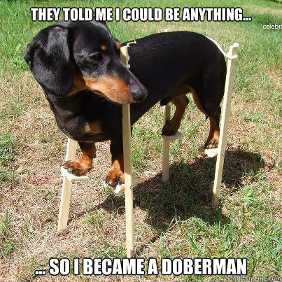 They told me I could be anything... ... So I became a Doberman  doberman