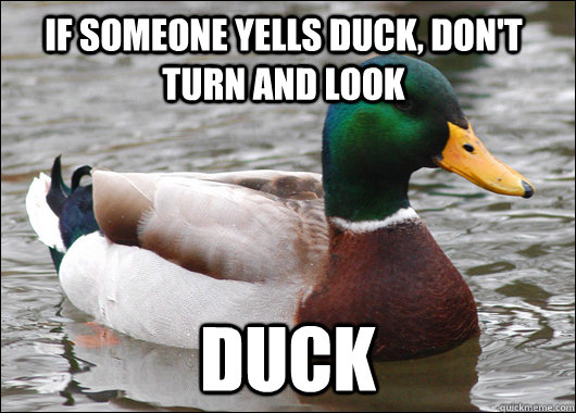 If someone yells duck, don't turn and look  duck  Actual Advice Mallard