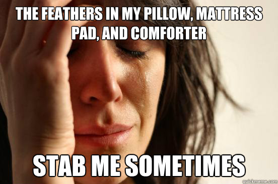 the feathers in my pillow, mattress pad, and comforter stab me sometimes - the feathers in my pillow, mattress pad, and comforter stab me sometimes  First World Problems