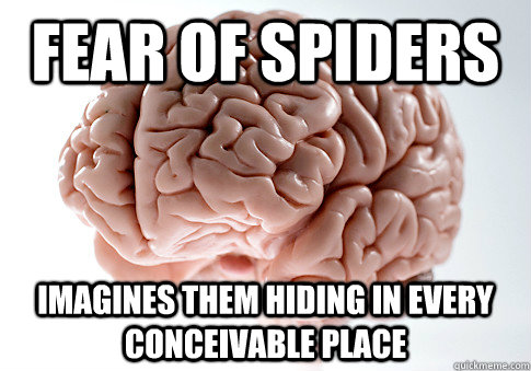 Fear of spiders Imagines them hiding in every conceivable place - Fear of spiders Imagines them hiding in every conceivable place  Scumbag Brain