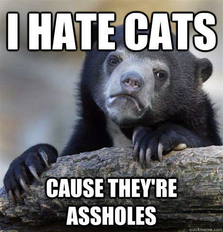 i hate cats cause they're assholes  Confession Bear