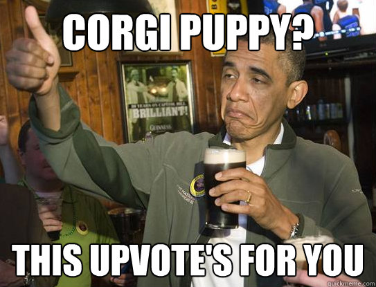 CORGI PUPPY? THIS UPVOTE'S FOR YOU  Upvoting Obama