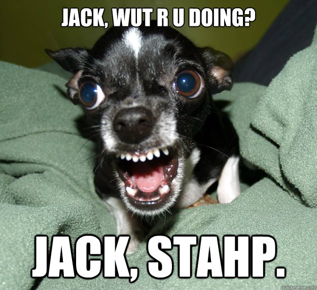 Jack, wut r u doing? Jack, stahp.  Chihuahua Logic