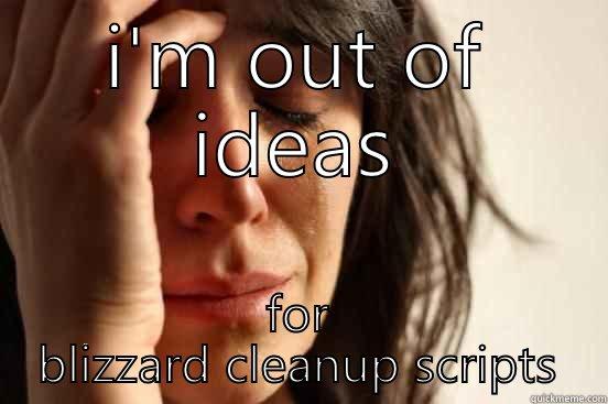 I'M OUT OF IDEAS FOR BLIZZARD CLEANUP SCRIPTS First World Problems