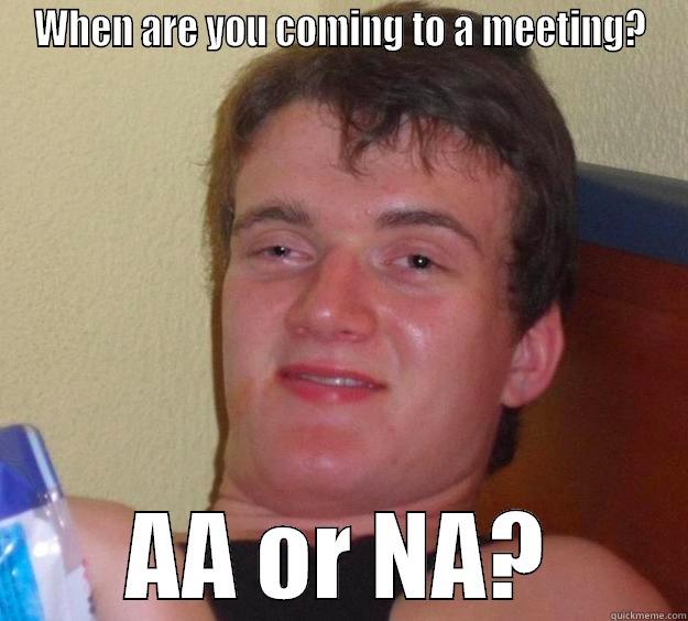 aa or na guy - WHEN ARE YOU COMING TO A MEETING? AA OR NA? 10 Guy