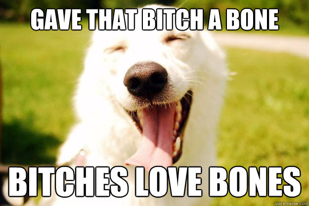 Gave that Bitch a bone Bitches love bones  Happy dog