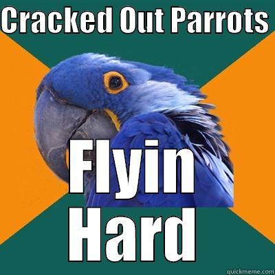 CRACKED OUT PARROTS  FLYIN HARD Paranoid Parrot