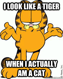 I look like a tiger when I actually am a cat - I look like a tiger when I actually am a cat  Garfield