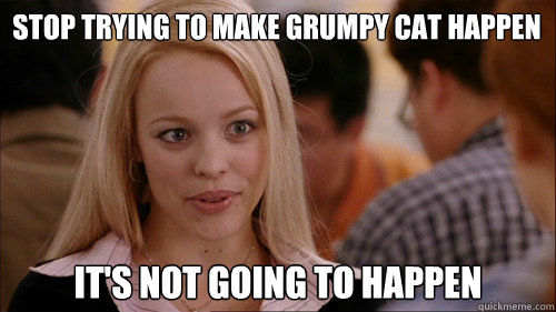 stop trying to make grumpy cat happen It's not going to happen  regina george