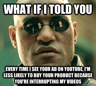 What if I told you Every time I see your ad on youtube, I'm less likely to buy your product because you're interrupting my videos  What if I told you